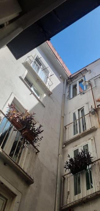 Modern Hospitality Naples Exclusive Stay Exteriör bild
